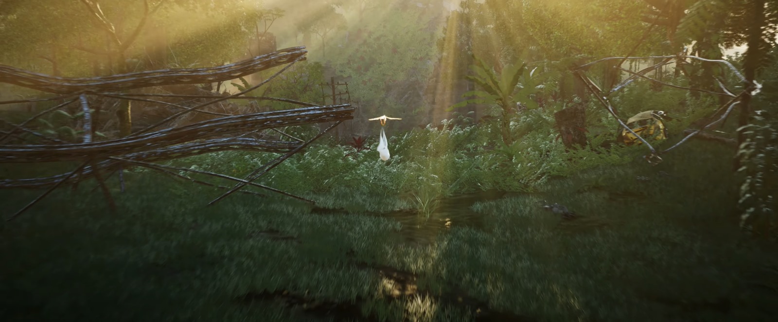 Morning Image 2